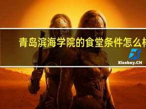 青岛滨海学院的食堂条件怎么样