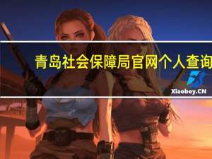 青岛社会保障局官网个人查询（青岛社会保障局）