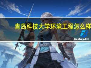 青岛科技大学环境工程怎么样