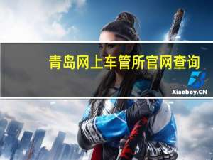 青岛网上车管所官网查询（青岛网上车管所）