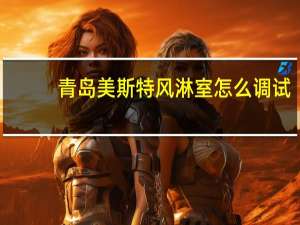 青岛美斯特风淋室怎么调试