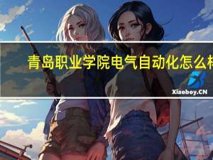 青岛职业学院电气自动化怎么样