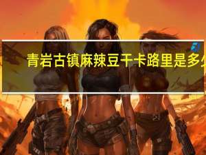 青岩古镇 麻辣豆干卡路里是多少