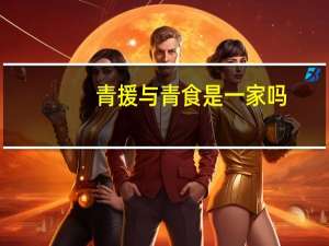 青援与青食是一家吗