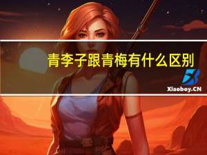 青李子跟青梅有什么区别