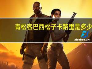 青松客 巴西松子卡路里是多少