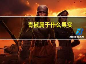 青椒属于什么果实