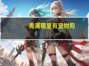 青浦哪里有宠物狗