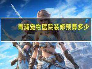青浦宠物医院装修预算多少