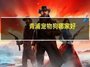 青浦宠物狗哪家好