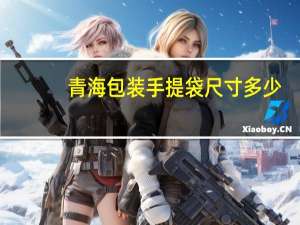 青海包装手提袋尺寸多少