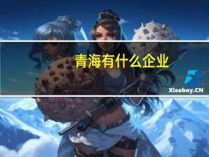 青海有什么企业