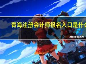 青海注册会计师报名入口是什么