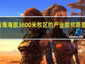 青海海拔3600米牧区的产业脱贫路是怎样的