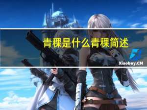 青稞是什么 青稞简述