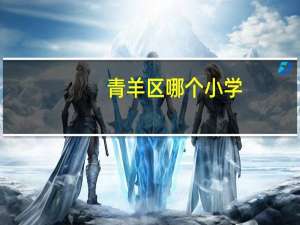 青羊区哪个小学