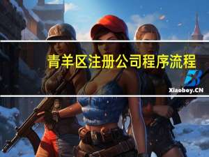 青羊区注册公司程序流程