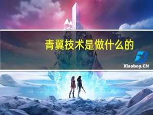青翼技术是做什么的（青翼简介）