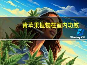 青苹果植物在室内功效