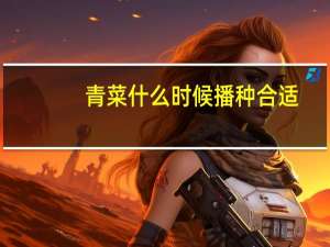 青菜什么时候播种合适