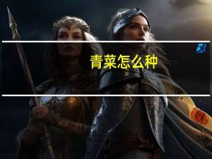 青菜怎么种