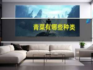 青菜有哪些种类