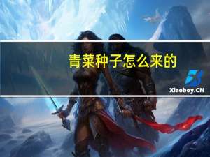 青菜种子怎么来的