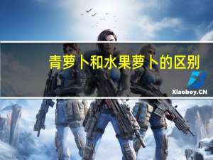 青萝卜和水果萝卜的区别