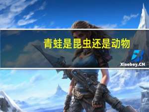 青蛙是昆虫还是动物