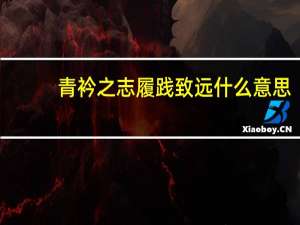 青衿之志履践致远什么意思