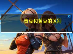 青豆和黄豆的区别