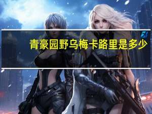 青豪园 野乌梅卡路里是多少