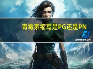 青霉素缩写是PG还是PN