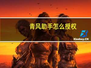 青风助手怎么授权