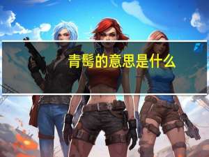 青髩的意思是什么