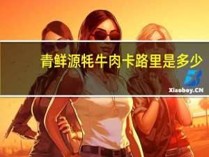 青鲜源 牦牛肉卡路里是多少