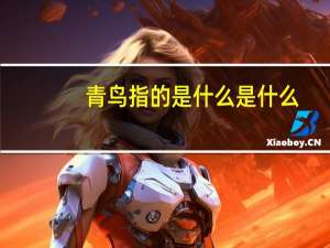 青鸟指的是什么是什么
