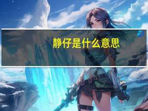 静仔是什么意思