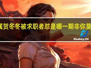非你莫属贺冬冬被求职者怼是哪一期 非你莫属最强求职者