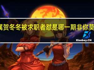 非你莫属贺冬冬被求职者怼是哪一期 非你莫属最牛求职者