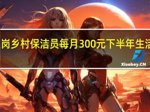 非公益岗乡村保洁员每月300元下半年生活费几月发放
