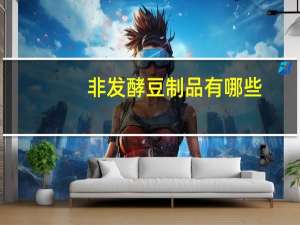 非发酵豆制品有哪些（豆制品有哪些）