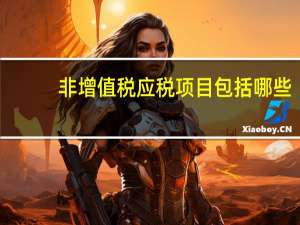 非增值税应税项目包括哪些