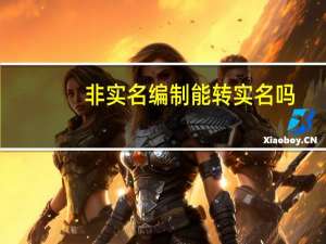 非实名编制能转实名吗