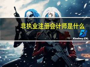 非执业注册会计师是什么
