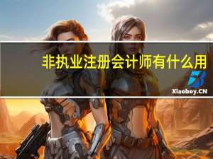 非执业注册会计师有什么用