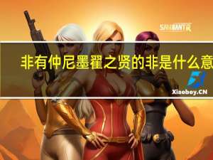 非有仲尼墨翟之贤的非是什么意思