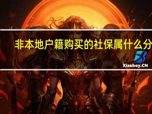 非本地户籍购买的社保属什么分类