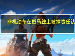 非机动车在斑马线上被撞责任认定