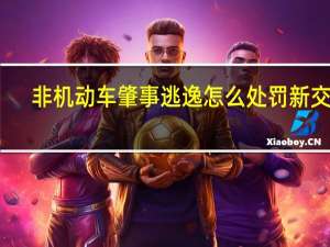 非机动车肇事逃逸怎么处罚新交规